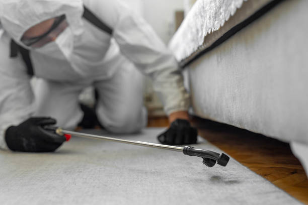 Professional Bed Bug Control technician working in Whitfield, FL